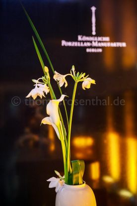 Beispielfoto Foodfotografie