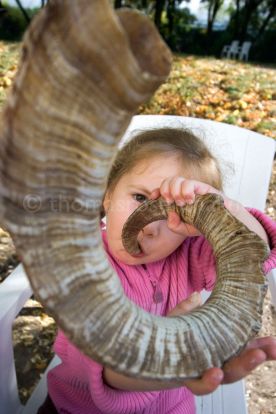 Beispielbild als Portraitfotograf für Köpfe in Berlin