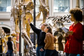 Beispielfoto Museumsfotografie Museum für Naturkunde Berlin