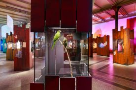 Beispielfoto Museumsfotografie Museum für Naturkunde Berlin