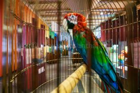 Beispielfoto Museumsfotografie Museum für Naturkunde Berlin